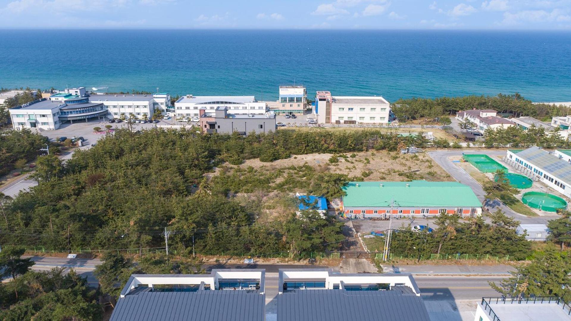 Gangneung Joeungot Poolvilla エクステリア 写真